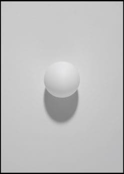 White Ping Pong Ball