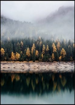 Foggy Forest And Calm Water