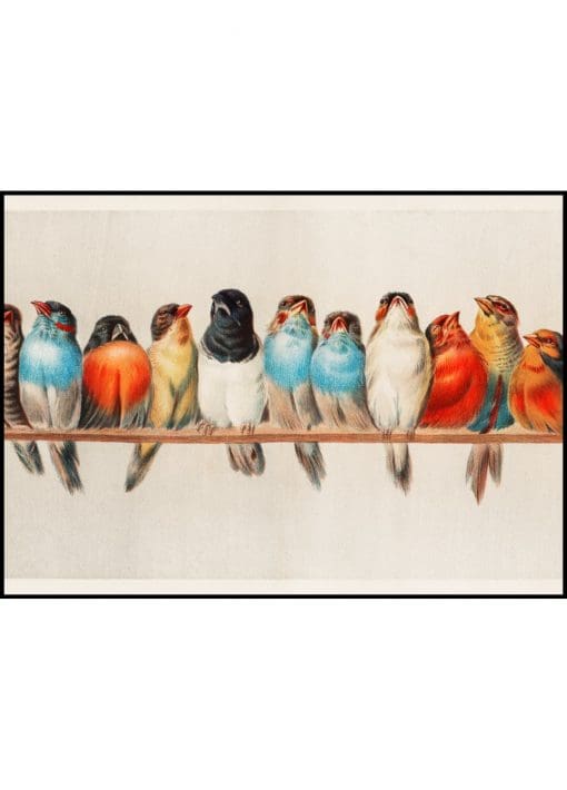 Birds In a Row Vintage