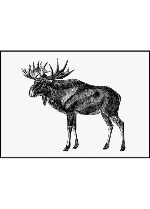 Scandinavian Elk Sketch Vintage