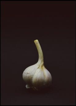 Fresh garlic. Poster 50×70 cm
