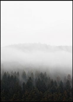 White Fog Green Forest
