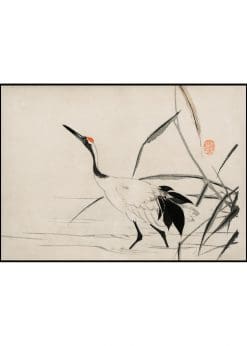 Japanese Crane in Water Illustration