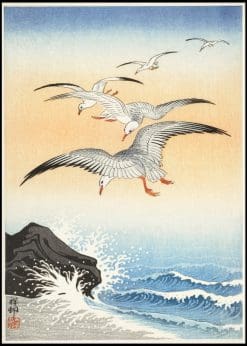 Five Seagulls Above Stormy Sea Illustration