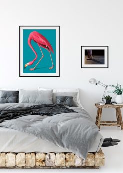 Vintage Illustration of Pink Flamingo nr.1