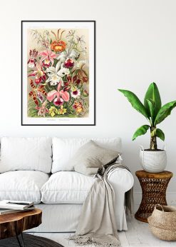 Orchideae-Denusblumen Vintage