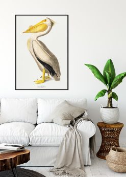 White Pelican Vintage