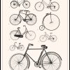 Bicyclettes by Florent Bodart