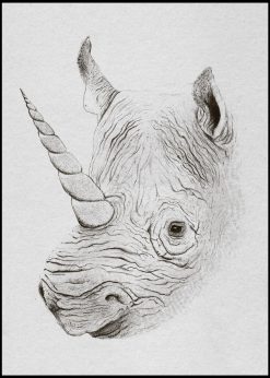 Rhinoplasty by Florent Bodart