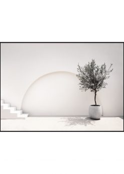 Olivetree Composition